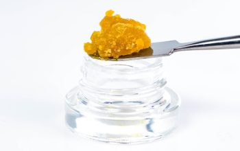 Delving into the Conversation: The Surprising Rise of Live Resin in the Cannabis Industry